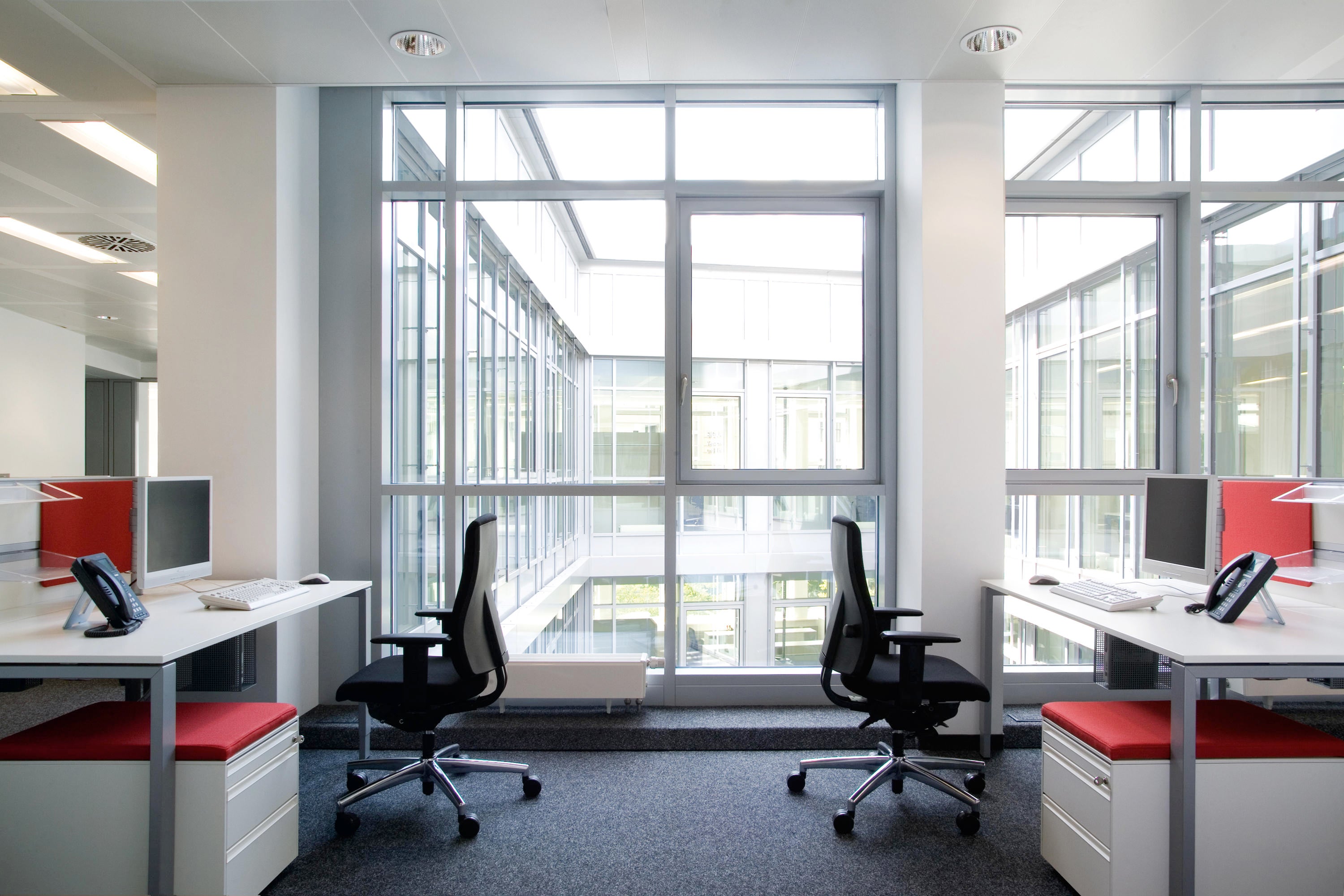 Modern office space with black ergonomic chairs and large windows for natural light.