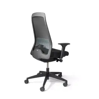 EVERYis1 office chair EV217 with tall mesh backrest, ergonomic design, ideal for various work environments.