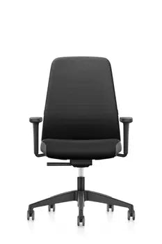 Graphite-black EVERYis1 ergonomic office chair, stylish and comfortable design ideal for various work environments.